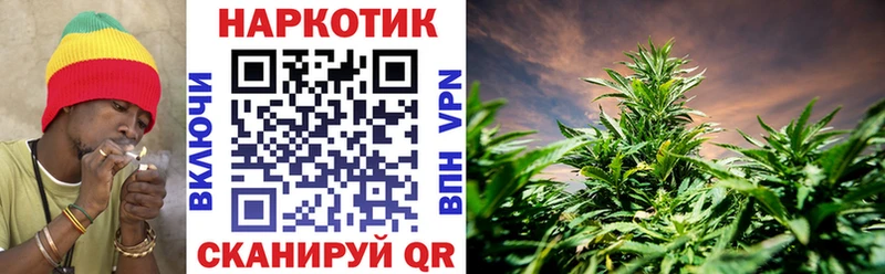 Как найти закладки Дорогобуж Конопля  Галлюциногенные грибы  ГАШ 