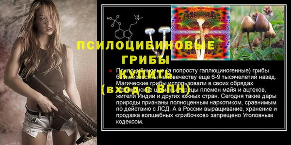экстази Вяземский