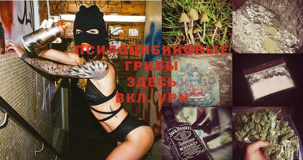 гидропоника Вязьма