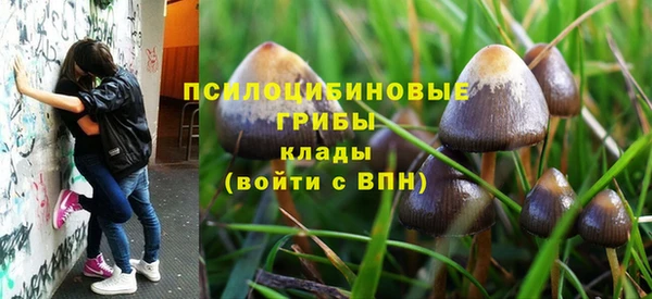 гидропоника Вязьма
