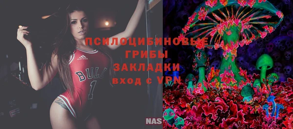 spice Сатка